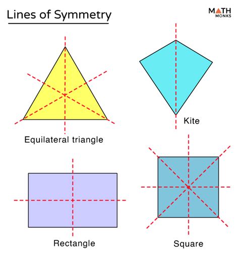 Symmetry Definition Types Examples And Diagrams