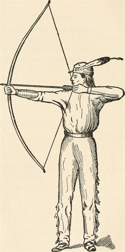 A Beginners Guide To Archery Learn From A Pro Rogue Survivor
