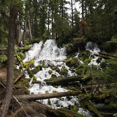 Umpqua National Forest All You Need To Know Before You Go