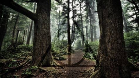 Harry potter free desktop wallpaper. Harry Potter Wallpapers Tumblr (25 Wallpapers) - Adorable ...