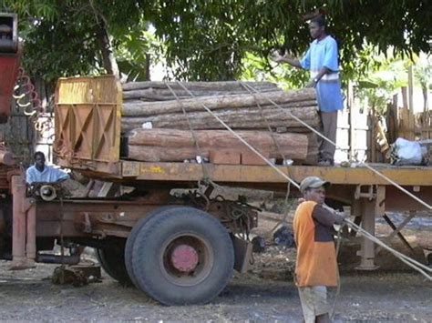 African Blackwood African Grenadilla Prosono Hardwoods