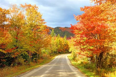 The Top 9 Places To See Fall Colors In Vermont Places To See Vermont
