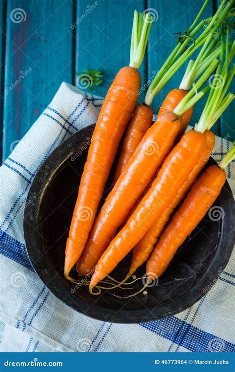 Fresh Organic Carrots In Retro Bowl Stock Photo Image Of Ingredient