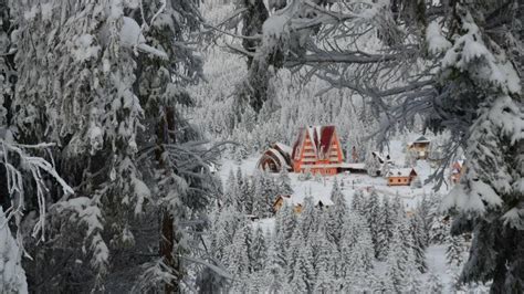 A Venit Iarna în Munții Din România Drumul Transpaltina Din Judeţul