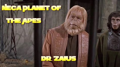 Spaceship lands on a desolate planet, stranding astronaut taylor in a world dominated by apes, 2000 years into the future, who use a primitive race of humans for experimentation and sport. NECA Planet of the Apes (1968) Dr Zaius review - YouTube