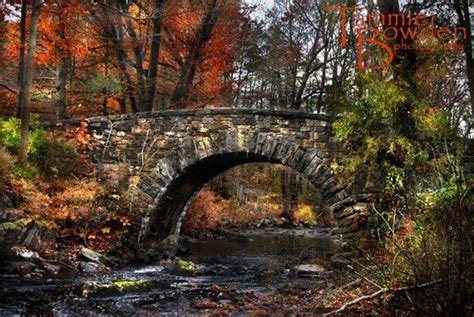 Stone Bridge In Autumn Original Photograph Rustic Neutral