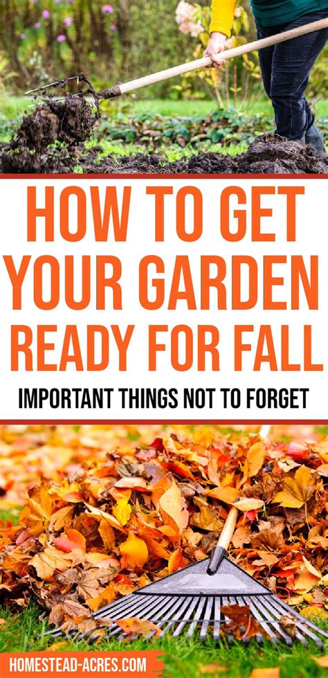 10 Tips To Get Your Garden Ready For Fall Fall Gardening Tips