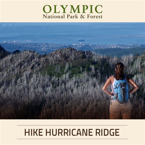 Hiking At Hurricane Ridge Olympic National Park And Forest