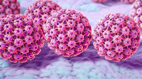 10 Myths About Hpv Good Morning America