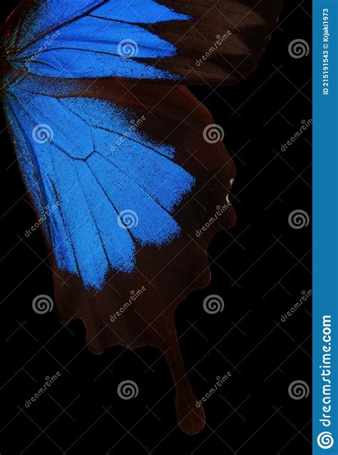 Blue Abstract Pattern Wings Of The Butterfly Ulysses Closeup Wings
