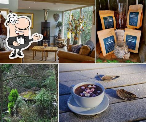 The Tree Of Life Cafe At St Nectans Glen In Cornwall Restaurant Reviews