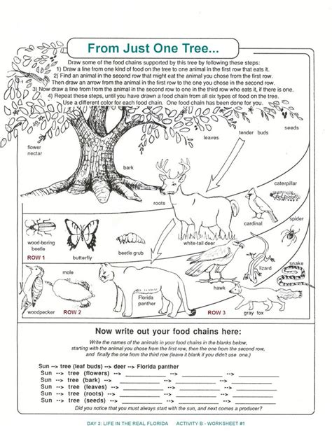 Science Worksheets For Third Grade Animals