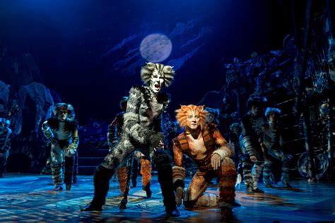 The cast of the revival of cats on broadway in 2016.credit.richard termine for the new york times. A Big Week for 'Cats' on Broadway - The New York Times