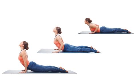 Bhujangasana Cobra Pose Yogapedia Howler Media Click Real Escapes