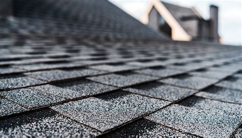 Why Is It Important To Keep Your Roof Clean Ethans Roof And Exterior