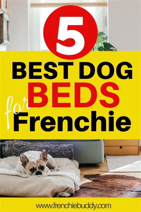 The 5 Best Dog Beds For French Bulldogs In 2022 Frenchie Buddy