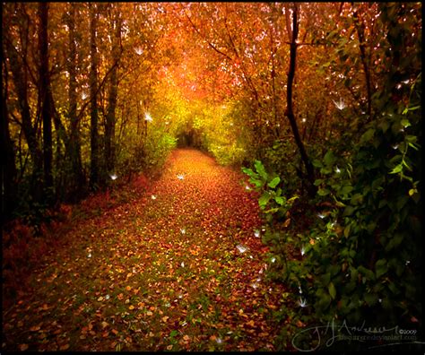 The Enchanted Forest By Discurrere Enchanted Forest Autumn Forest