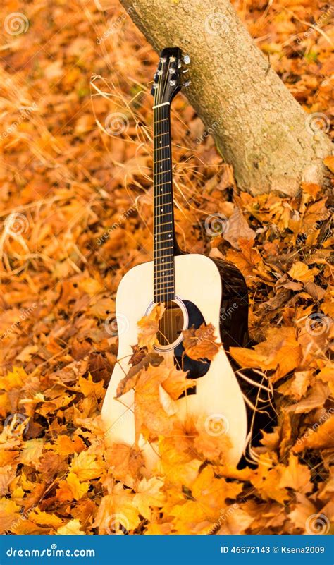 Guitar On Autumn Leaves Stock Image Image Of Instrument 46572143