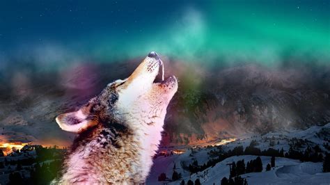 Wolf Howling At The Moon Wallpaper 66 Images
