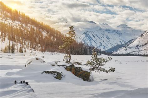 Schöne Winterlandschaft Altai Berge Sibirien Russland Stockfoto