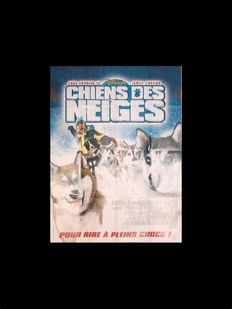 Affiche Du Film Chiens Des Neiges Snow Dogs Cinemaffiche