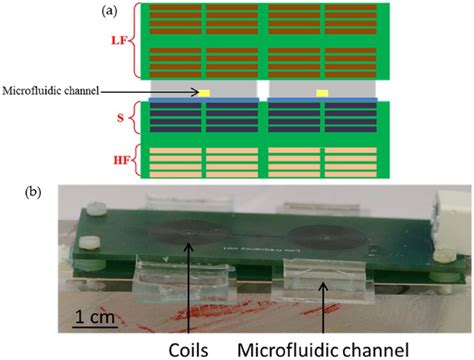 A magnetic detector locates magnetically tagged items, such as surgical sponges or instalments, introduced to and remaining in the body the invention discloses a magnetic detector arrangement with a magnetic sensor element (2) and a magnetic means (4) for imposing a magnetic field on the. Sensors | Free Full-Text | Magnetic Detection Structure ...