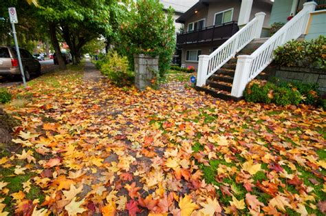 Vancouver In Fall Season Photo Essay Vancouver Homes