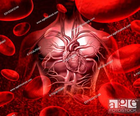 Blood System And Circultaion With A Human Heart Cardiovascular Icon