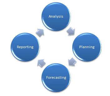 Finance managers analyze every day financial activities and provide advice and guidance to upper management on future financial plans. The New Age of Financial Planning & Analysis - 3C Software