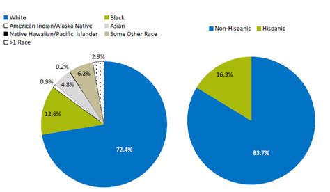 Usa Ethnic Population Pie Chart
