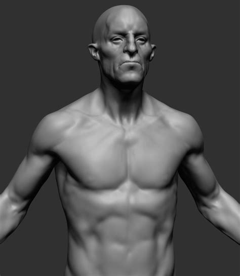 I'm going into detail about anatomy and. Male Anatomy v7 3D | CGTrader