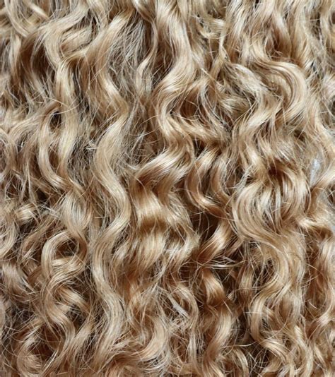 Ringlet Textured Curly Hair Long Blonde Curly Hair Curly Hair Up
