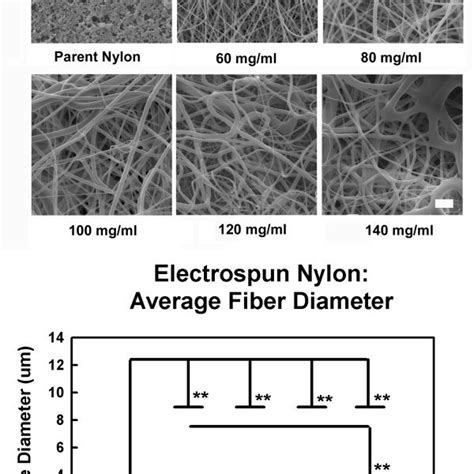 Fiber Analysis Electrospun Nylon SEM Images Indicated That Fibers