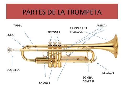 Curso De Trompeta Para Principiante