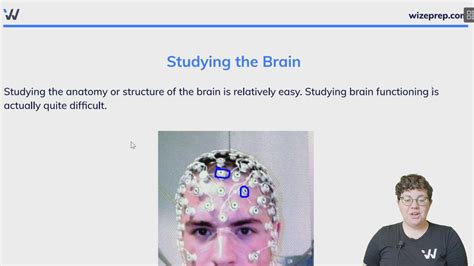 Studying The Brain Wize University Psychology Textbook Wizeprep
