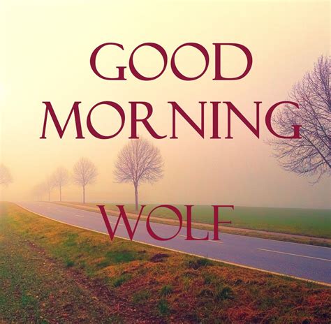 50 Best Good Morning ☀️ Images For Wolf Instant Download