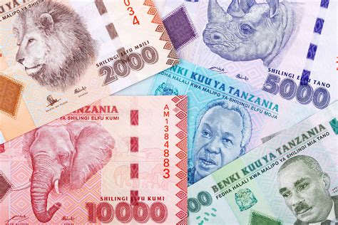 Tanzania Currency Notes And Coins Fx Rate 2024