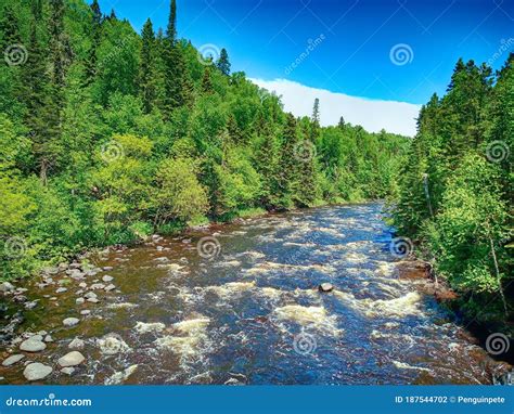 Cascade River Northern Minnesota Stock Photo Image Of Forest Rusty