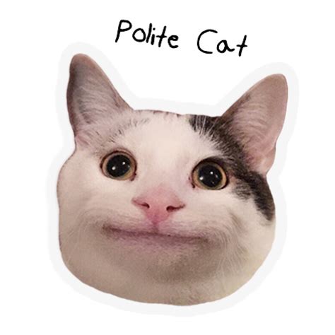 Polite Cat Meme Face Riset