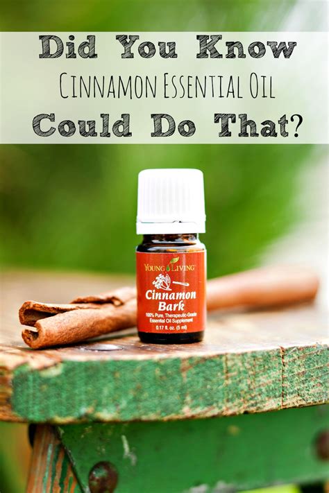 The Many Uses Of Cinnamon Essential Oil Moms Need To Know