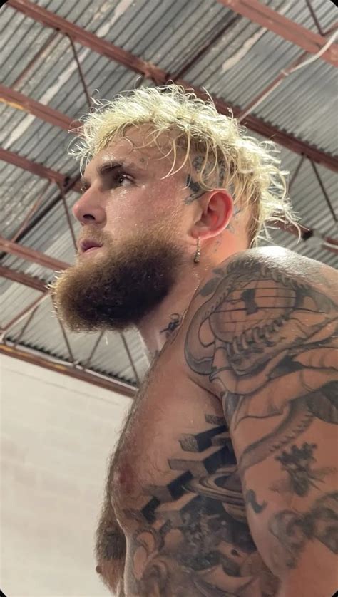 Thirst For Logan Paul 🤤 On Twitter Jakes Pecs Make My Mouth Water Every Time I See Them 🥴🤤
