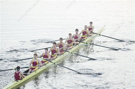 Rowing Team Rowing Scull On Lake Stock Image F0139981 Science