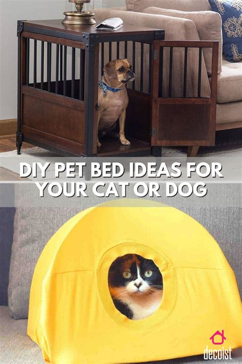 Diy Pet Bed Ideas To Pamper Your Furry Friends Diy Pet Bed Pet Beds
