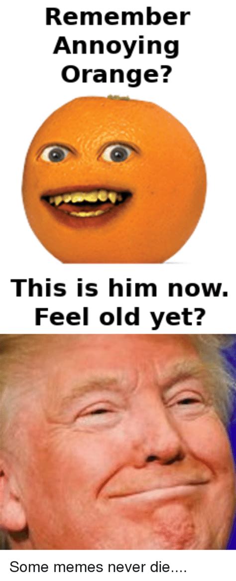 Remember Annoying Orange This Is Him Now Feel Old Yet Meme On Meme