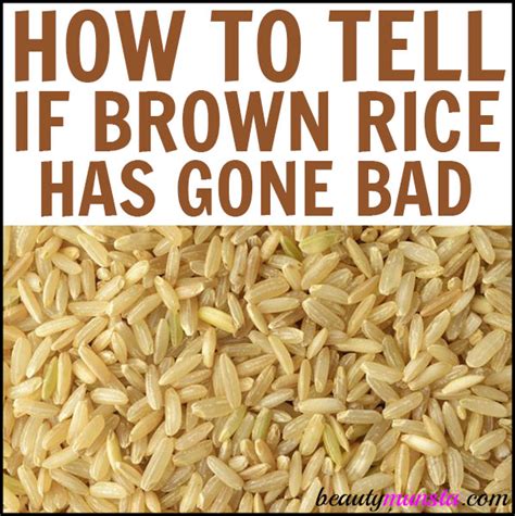 Sprinkle half of chickpeas on top of zucchini (save the second half of the chickpeas for next time). How to Tell If Brown Rice Has Gone Bad - beautymunsta