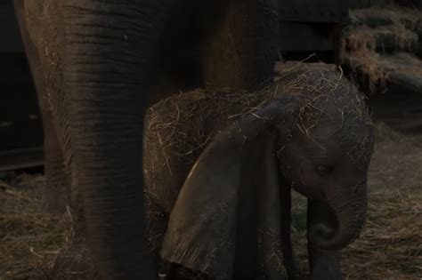 Dumbo Disney Release New Emotional Trailer For Tim Burtons Live