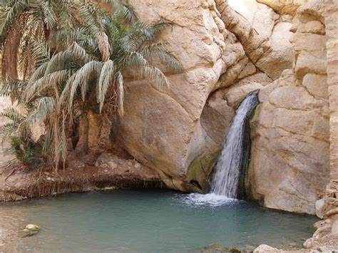 Tozeur Oasis Tunisia Med O Med