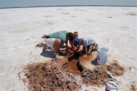 Digging Crystals Of Oklahomas At Great Salt Plains Charismatic Planet