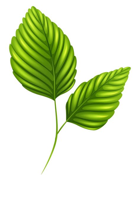 Free Leaf Png Clipart Download Free Clip Art Free Clip Art On Clipart