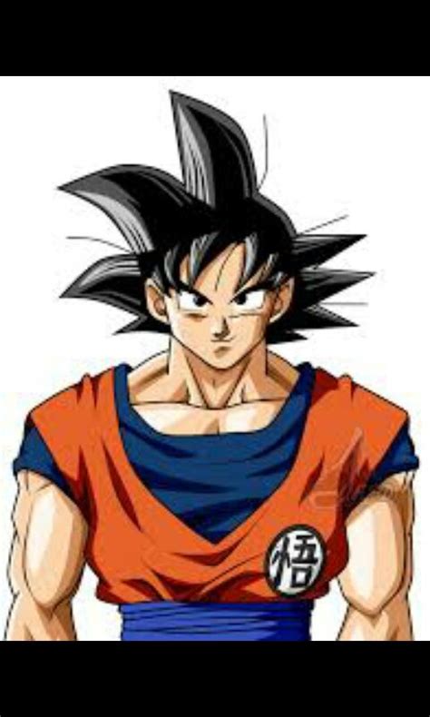Ficha Nova De Son Goku Dbs Wiki Dragon Ball Af Torneio Amino